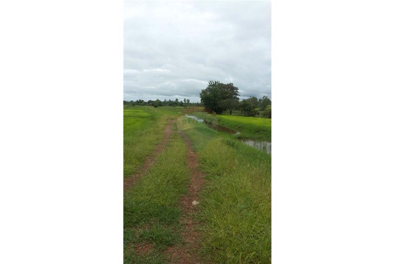 ขายที่ดิน-23-ไร่-947-ตารางวา-หน้ากว้างประมาณ-529-เมตร-ติดถนนสกลนคร-นาแก