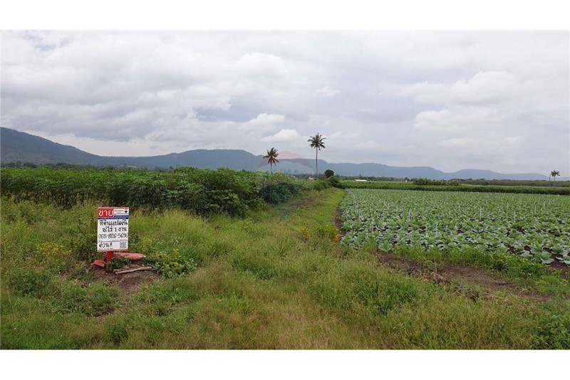 ขายที่ดิน-18-ไร่-1-งาน-ใกล้-โอโซนรีสอร์ท