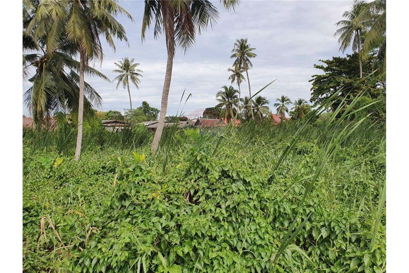 ขายที่ดิน2ไร่-64ตรว-ติดคลองบางกอกน้อย-15900000-บาท-ต่อรองราคาได้-ยังไม่ได้ถม-วิวดี-คลองสะอาด