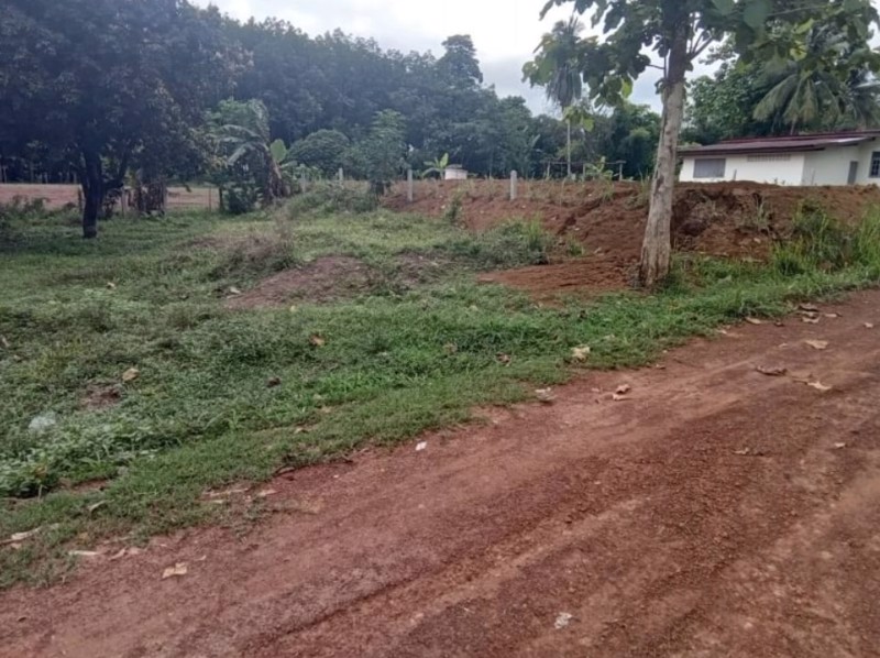 ขายที่ดิน-12ไร่-แบ่งขาย-ในเมืองหนองคาย-100-ตรว