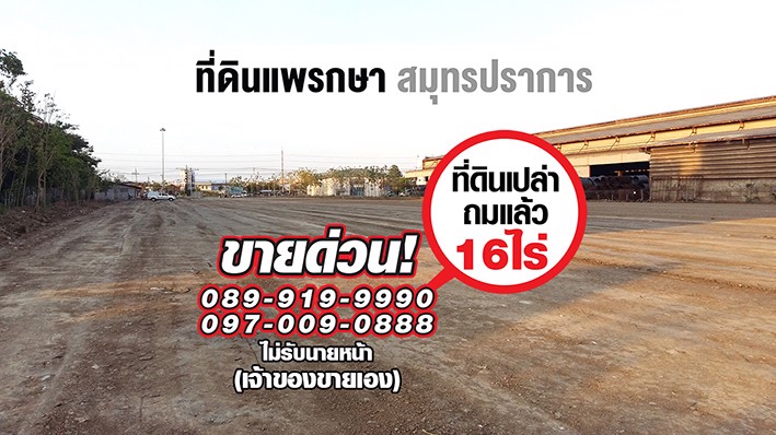 ขายด่วน-ที่ดินสวย-ติดถนนแพรกษาใหม่-สมุทรปราการ-16-ไร่-หน้ากว้าง-68-เมตร-ถมแล้ว-อัดบดแล้วกว่า-7-ปีสูง