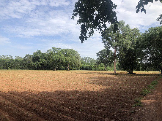 ขายที่ดินติดอ่างน้ำนิคม304-40ไร่-14ล้าน