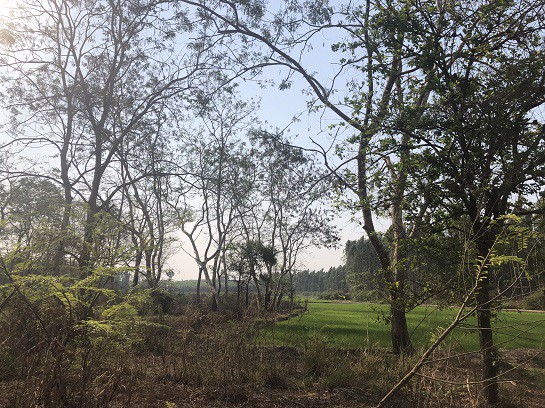 ขายที่นาหลังนิคม304-ห่างนิคม15นาที-40ไร่-6ล้าน