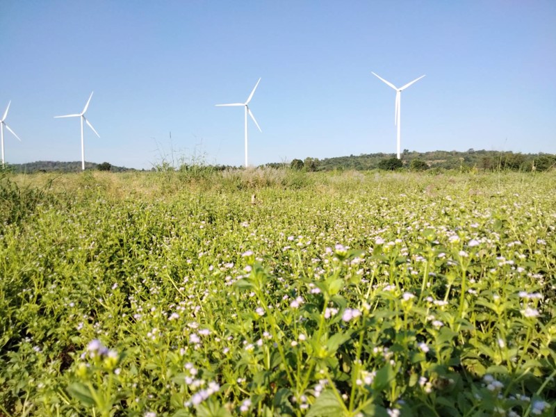 ที่ดินหลักร้อย-วิวหลักล้าน-อากาศดีมาก-โอโซนยอดเยี่ยม-ฟินน์สุดๆ