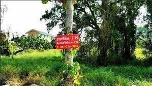 ขายด่วน-ที่ดินเปล่า-1-ไร่-ปากเกร็ด-ราคา-115-ล้าน-ทางเข้าวัดอินทาราม-ถชัยพฤกษ์-ทิศใต้-เจ้าของขายเอง