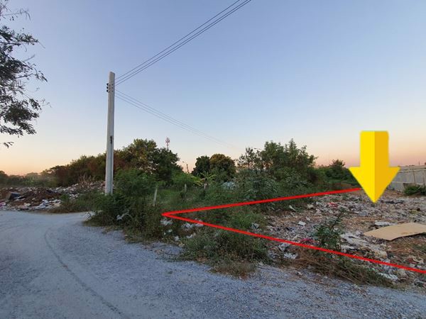 ขายถูก-ที่ดินจัดสรรแปลงสวย-ไทรน้อย-บางบัวทอง-198-ตรว-ทำเลดี-สาธารณูปโภคครบ