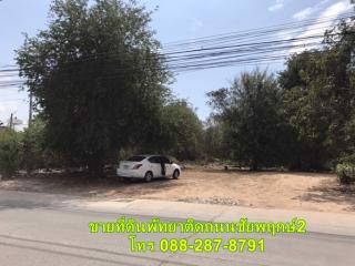 ขายที่ดินพัทยาติดถนนชัยพฤกษ์2-ตำบลหนองปรือ-อำเภอบางละมุง-จชลบุรี-โทร-088-287-8791