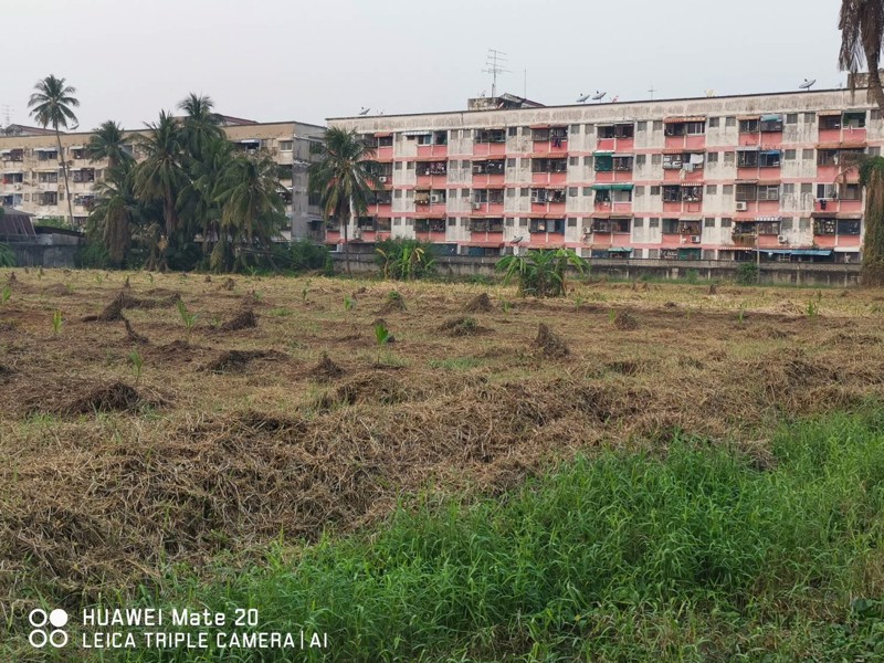 ขายด่วน-ที่ดิน-ที่สวย-ที่ดินประมาน-8-ไร่