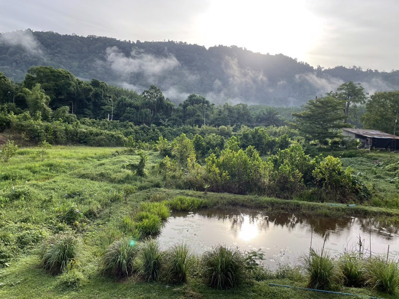 ขายที่ดินเป็นสวนผสม-เน้นปลูกทุเรียนพันธุ์สาลิกา-มีปลูกไว้แล้ว-เกือบ-100-ต้น