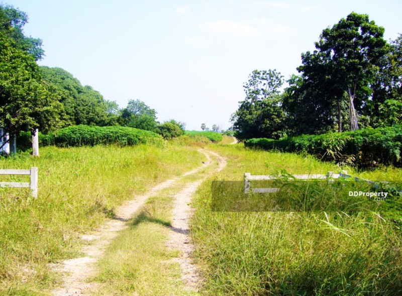 ขาย-ด่วน-ที่ดิน-276-ไร่-นิคมลำนารายณ์-อชัยบาดาล-จลพบุรี