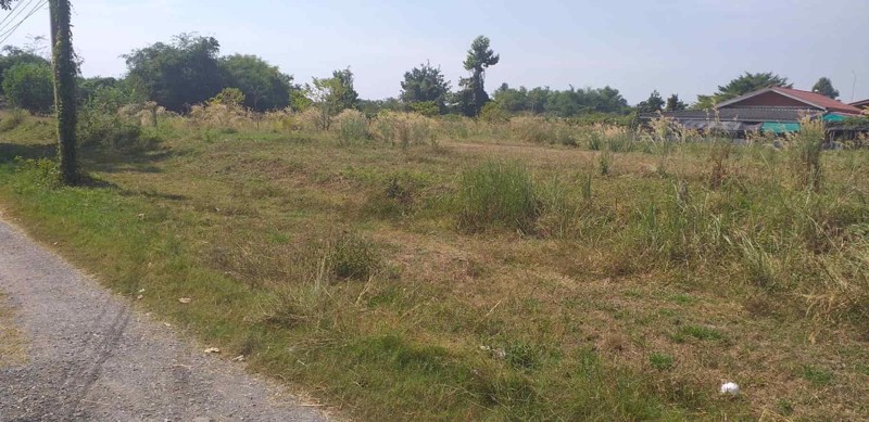 ที่ถมแล้ว-4-ไร่-1-งาน-941-ตรว-หน้าติดถนน-4-เลน-เส้น-highway-2024