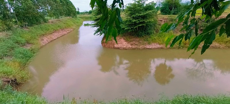 โฉนดครุฑแดง-ที่ดินติดคลองน้ำ-อสีคิ้ว-จนครราชสีมา