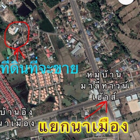 ขายที่ดินในเมืองอุบล-1ไร่-3งาน