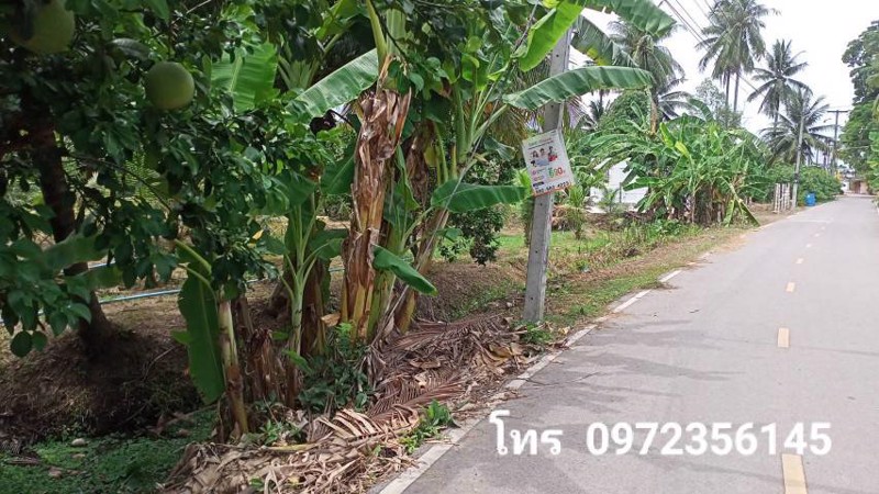ขายที่ดินติดถนนสาธารณะ-เขตเทศบาลเหมืองใหม่-อำเภออัมพวา-สมุทรสงคราม