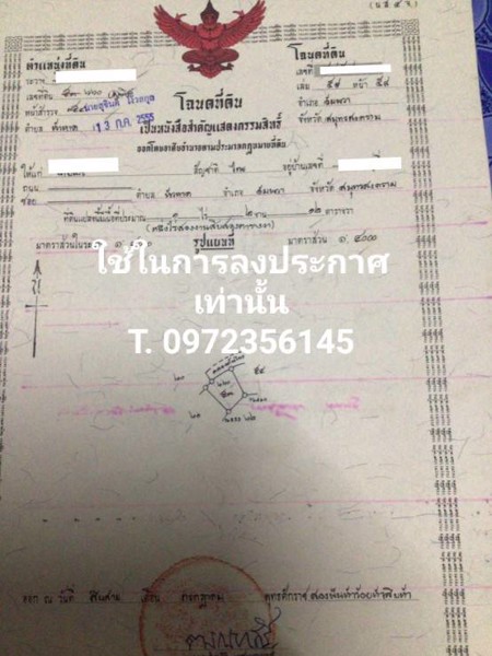 ขายที่ดินพร้อมสวน-เทศบาลเหมืองใหม่-อำเภออัมพวา-สมุทรสงคราม