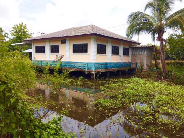 ขายด่วน-บ้านเดี่ยวชั้นเดียว-ริมสระน้ำ-บนพื้นที่-3งาน-656ตรว-บรรยากาศดี-ป่าแดด-เชียงราย