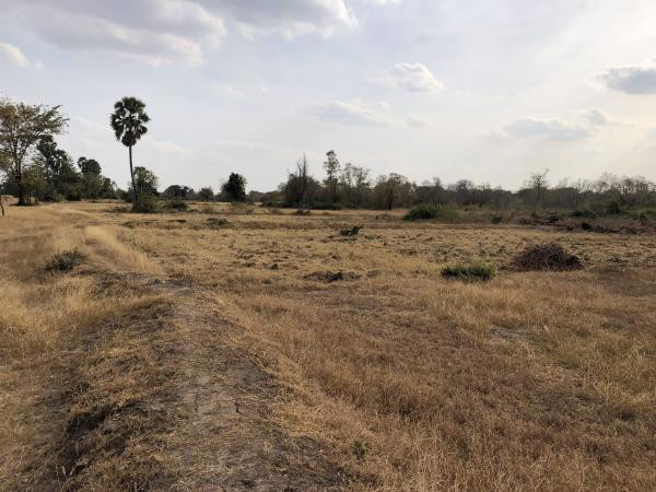 ขายที่ดิน-2-แปลง-รวมเนื้อที่-10-3-63-ไร่-อโนนไทย-จนครราชสีมา