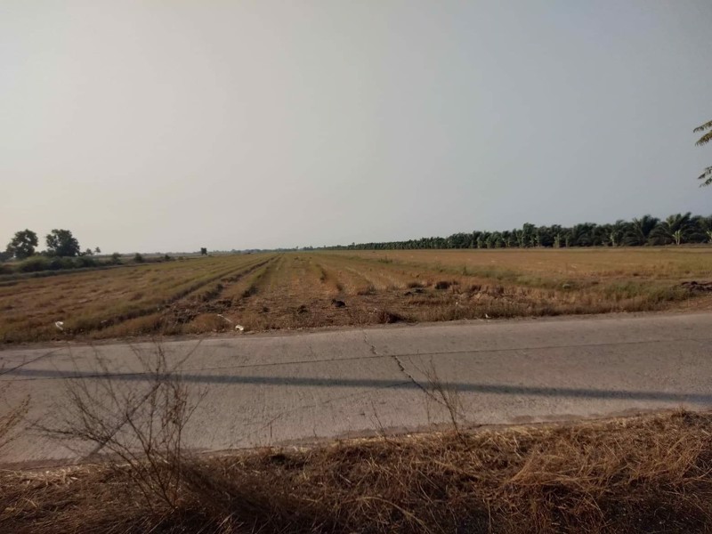 แบ่งขาย-5-ไร่-บางน้ำเปรี้ยว-ฉะเชิงเทรา