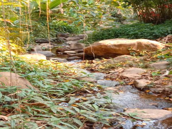 ขายที่ดิน-348-ตรวติดลำธารแปลงสวยติดถนนหลัก-1269-สะเมิง-หางดง