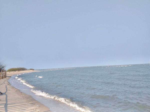 ขายที่ดินติดทะเลชะอำ​-3​-ไร่​-0-งาน-96​-ตารางวา-แถมที่ครอบครองอีก2​-ไร่-พื้นทีติดกัน