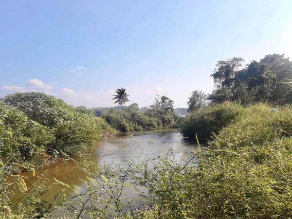 ขายที่ดินติดน้ำปิงเชียงดาว-วิวเขา-2แปลง-จะซื้อแยกหรือซื้อรวมทั้งหมดก็ได้