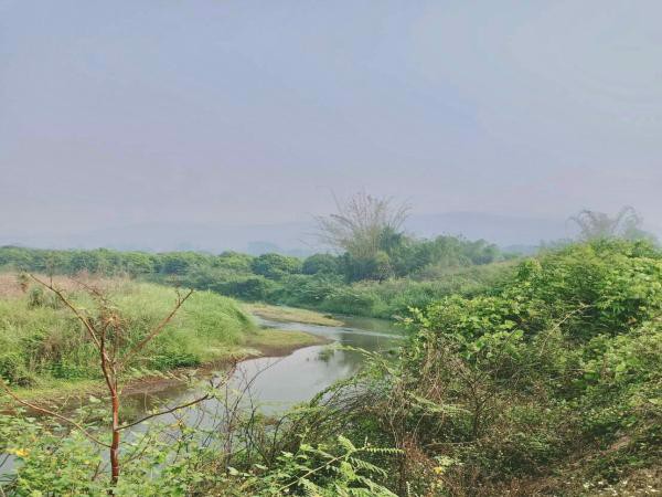 ที่ดินติดน้ำปิงแปลงสวยโซนท่องเที่ยว-แม่แตง-เชียงใหม่-เนื้อที่-14-2-41-ไร่