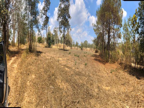 ขายที่ดินวิวสวยโซนท่องเที่ยว-ภูเรือ-จังหวัดเลย-เนื้อที่-17-ไร่-แถมบ้าน-1-หลัง