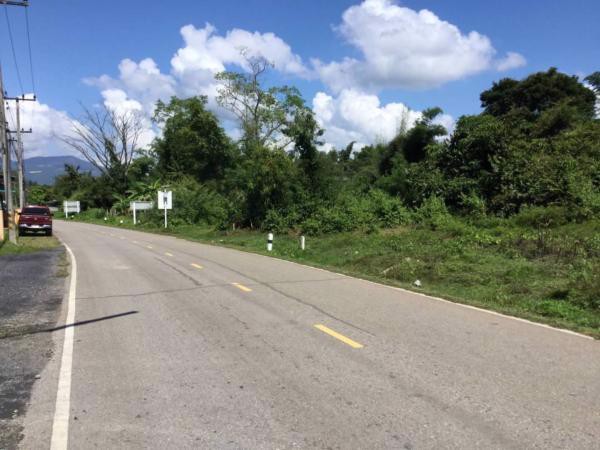 ขายที่ดิน-เนื้อที่-2-ไร่-83-ตารางวา-โฉนด-ที่เนิน-ติดถนน-วิวภูเขา-ติดถนนแม่ริม-บ้านไร่-3009-