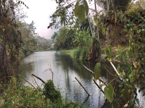 ขายสวนลำไย-วิวภูเขาล้อมรอบ-ติดสระน้ำ-เนื้อที่-29-1-37-ไร่