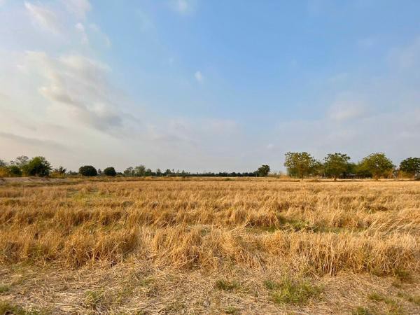 ขายด่วน-ที่ดิน-เนื้อที่-28-2-765-ไร่-อวังทอง-พิษณุโลก