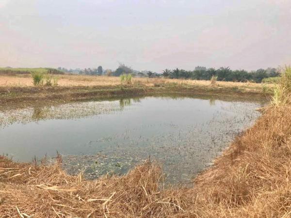 ขายที่ดินราชบุรี-เนื้อที่-39-1-44-ไร่-ดินดี-น้ำดี-ถนนกำลังขยาย-4-เลนรองรับเส้นเศรษฐกิจ