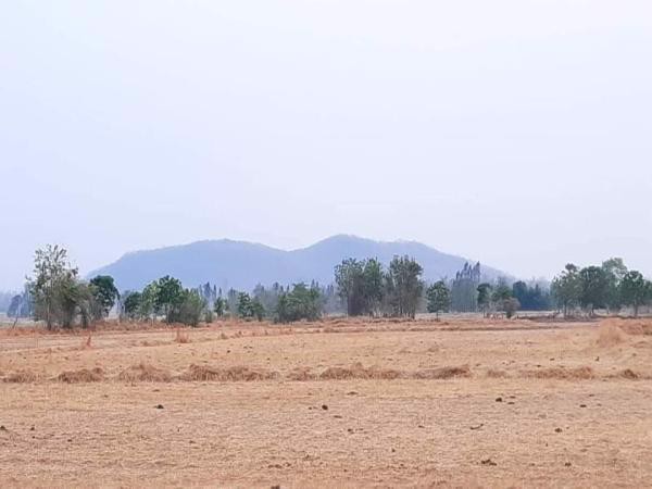 ขายที่ดินวิวเขา-ราคาถูก-40-ไร่-45-ตารางวา-ทำเลสวยงามตามฮวงจุ้ย-หน้าใกล้ถนนหลังติดภูเขา-ชัยนาท