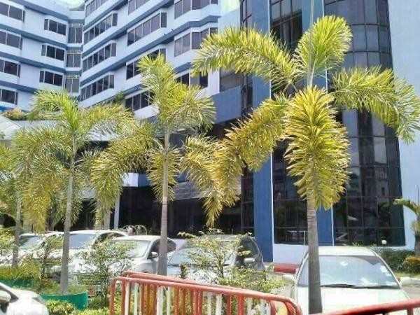 ขายโรงแรม-ติดถนนสุขุมวิท-ใจกลางเมืองชลบุรี-เนื้อที่-5-0-92-ไร่-โรงแรมขนาดความสูง-7-ชั้น