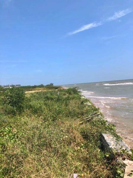 ขายที่ติดทะเลราคาถูกสุดๆ-เนื้อที่-997-ตารางวา-หน้ากว้างติดชายหาด-16-เมตร-อเมือง-จประจวบฯ