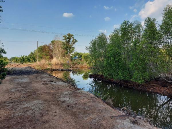 ขายที่ดิน-ติดคลอง-เขาน้อย-อคมบาง-จจันทบุรี-สามารถ-เลี้ยงกุ้ง-เลี้ยงปู-ทำรีสอร์ต-โฮมสเตย์ได้