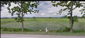 ขายที่ดิน-เนื้อที่-1-ไร่-356-ตารางวา-ติดถนนใหญ่-อเมือง-จพะเยา