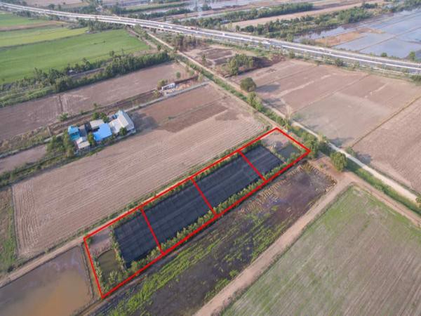 ขายด่วน-ที่ดินแปลงสวย-ราคาถูก-หน้ากว้างติดมุมถนน-2ด้าน-จำนวน-4ไร่-สามารถแบ่งซื้อได้-ทำเลดี-คลองหลวง