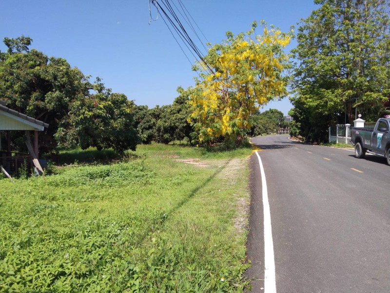 ขายที่ดินราคาไร่ละ-590000-บาท