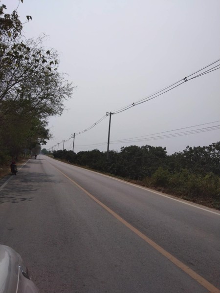 ขายที่ดิน-ติดน้ำปิงหน้าถนนหลักท่าลี่-อป่าซาง