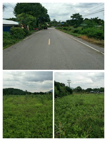 ขายที่ดิน-มีโฉนด-ติดถนนลาดยาง-จำนวน-16-2-20-ไร่-คลองเกตุ-โคกสำโรง-ลพบุรี