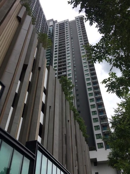 ขาย-คอนโด-เคนซิงตัน-สุขุมวิท-เทพารักษ์-kensington-sukhumvit-theparak-คอนโดมิเนียม-ถนนเทพารักษ์