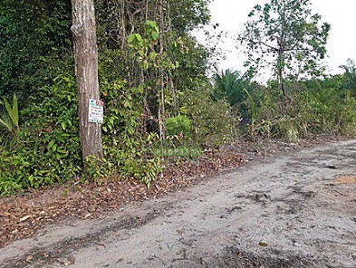 ขายด่วน-ที่ดินเปล่า-ซอย-หน้าถ้ำ-โคกเคียน-เมืองนราธิวาส-เนื้อที่-280-ตรว-พร้อมเข้าทำประโยชน์