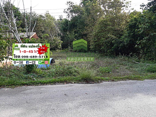 ขายด่วน-ที่ดินเปล่า-ตำบล-เจ๊ะเห-อำเภอ-ตากใบ-นราธิวาส-เนื้อที่-1-ไร่-45-ตารางวา-ติดถนน-ทำเลดี