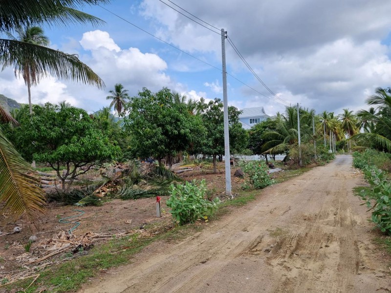 ขายที่ดินเปล่ามีโฉนด-231-ตารางวา-ไม่ไกลทะเลหาดสามร้อยยอด