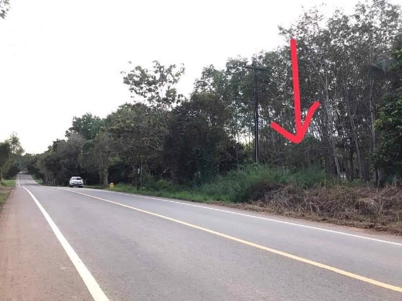 ขายที่ดินติดถนนเส้นท่าหาด-เนื้อที่-5-ไร่-90-ตรวา-5-0-90-