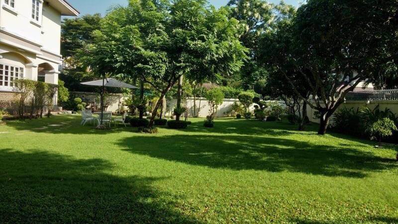 ขายที่ดิน-1267ตรว-ถศรีนครินทร์ซ57-หลังห้างพาราไดซ์พาร์ค-ใกล้ซีคอน-ขาย-198-ล้าน-โทร-093-9594717