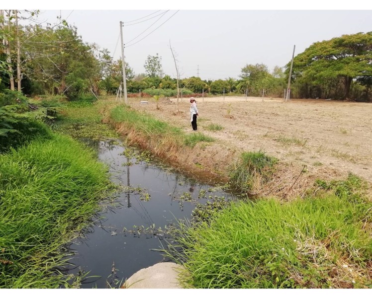 ขายที่ดินสวย-ทำเลดีมากๆ-ติดถนนหลักของชุมชน-ลาดยางดำ-และติดถนนสองด้าน