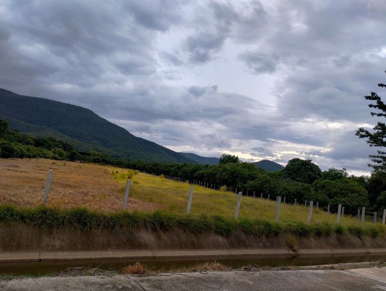 ที่ดินวิวดอย-แหล่งธรรมชาติ-ติดคลองชลประทาน-อบ้านโฮ่ง-จลำพูน