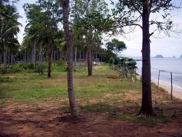 ให้เช่าที่ติดทะเล-อำเภอ-สิเกา-ตรัง-2-3-823ไร่