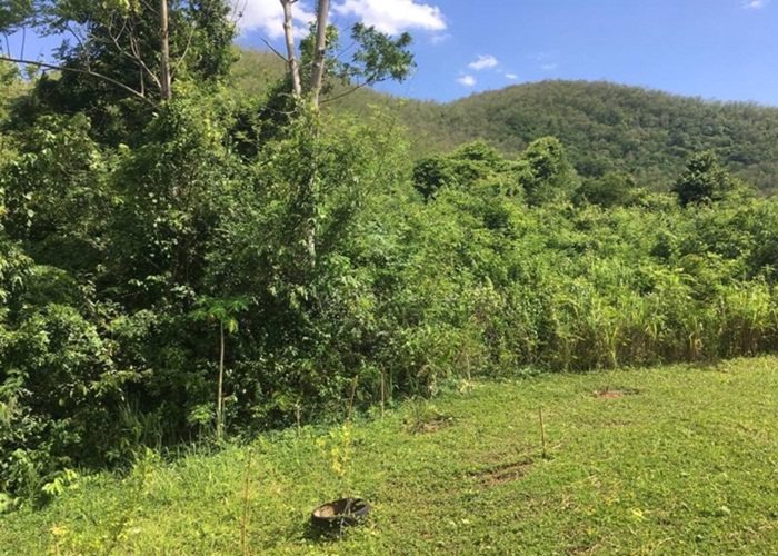 land-for-rent-ให้เช่าที่ดิน-ใกล้น้ำตก-342-ตรวา-อปากช่อง-โคราช